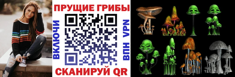 Купить закладки  Ялуторовск  Галлюциногенные грибы прущие грибы 